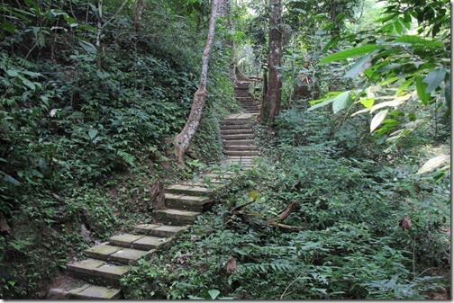 タート・トン滝(Tad Thong Waterfall) タート・トン滝(Tad Thong Waterfall)